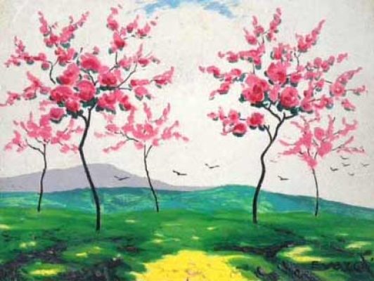 Frühlingswiese1_NL