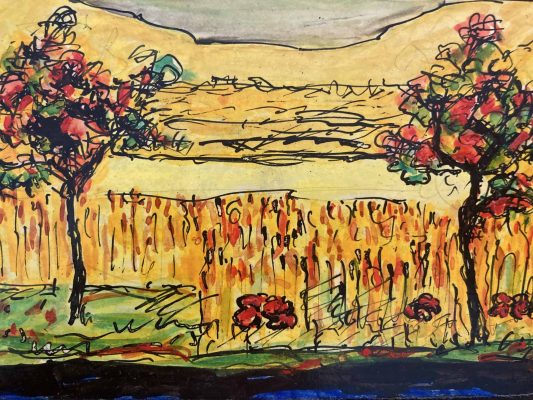 JM2114_Two trees in front of a grain field_1970